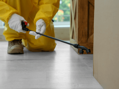 About Scorpion Home Protection Services pros - scorpion home sealing experts in North Augusta, North Augusta